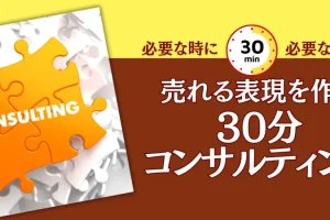 2026年6月分スポットコンサルの申し込みを開始しました